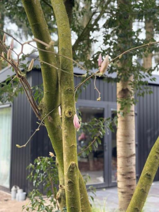 Veluwe Boutique Lodge 푸텐 외부 사진